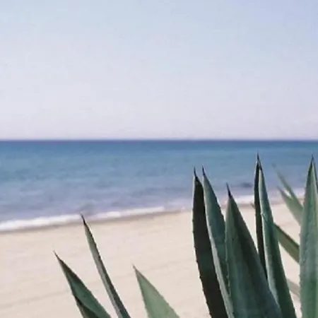 Casa Acogedora Con Piscina Y Barbacoa Y Playa A 5'